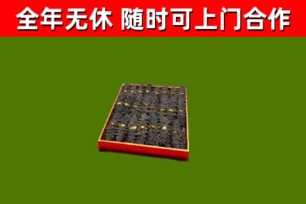 邵东回收海参
